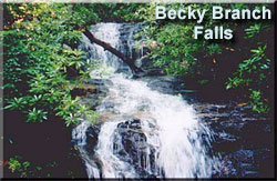Becky Branch Falls Waterfall