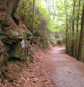dukes-creek-path