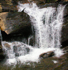 Dukes Creek Falls Waterfall