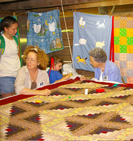 People looking at display at GA Festival