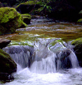Waterfall in Georgia forest