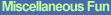 Miscellaneous Fun Activities