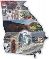 Miscellaneous Georgia Activities