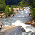 Georgia River