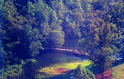 Lake Lanier Bridge at Dam