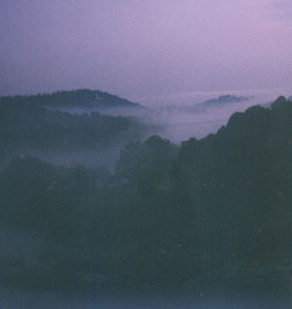Lake Lanier at Night