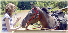 Horses are friendly at Fort Mountain Stables at Fort Mountain State Park