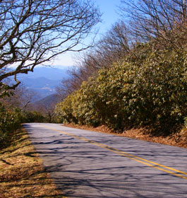 Scenic Byway Road in GA