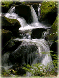 Scenic waterfall on Adventure Trail Rides scenic trail