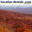 Vacation Rentals throughout