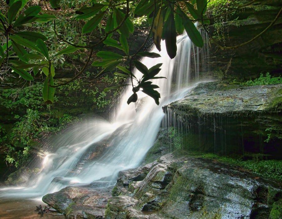 Waterfall in a North Georgia forest