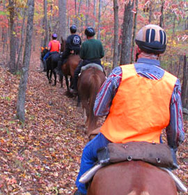 Cochran Mill Park Horseback Riding area