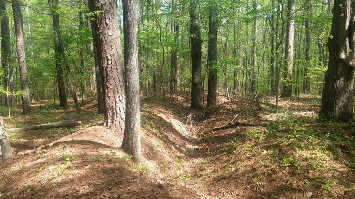 Preserved Civil War earthworks in the woods at Kennesaw Mountain National Battlefield Park