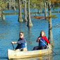 Canoeing at George L Smith State Park