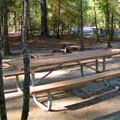 Picnic Area at George L Smith State Park
