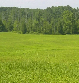 Outside Range