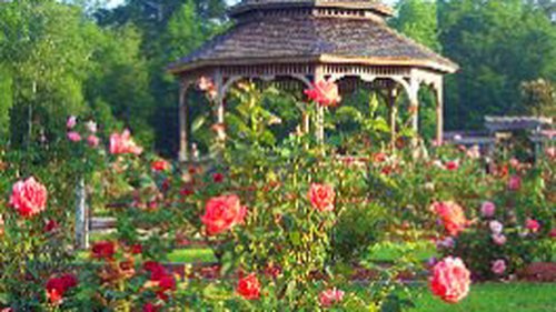 The gazebo and rose beds at Thomasville Rose Garden in Thomasville, Georgia