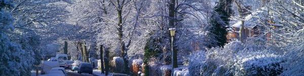 Neighborhood winter scene