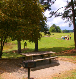 Young Deer Creek Park Picnic Area
